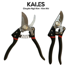 Kéo Cắt Cây Cảnh 210mm | KALES