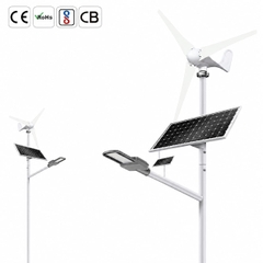 Đèn Đường Năng Lượng Mặt Trời Kết Hợp Tuabin Gió ZALAA ZL-BDX-Wind Cao Cấp (Chống Nước IP65)