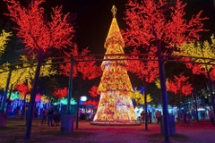 Cột Đèn Trang Trí Cây Thông Cao 6M LED F5 Chiếu Sáng Cảnh Quan Khuông Viên Ngoài Trời