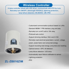 Giải Pháp Đèn Đường Thông Minh ZALAA LoRa-MESH (ZL-SSL-LoRa-MESH) Quản Lý Đô Thị Hiện Đại