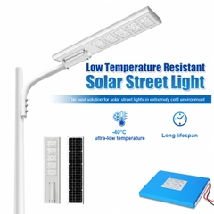 Đèn Đường Năng Lượng Mặt Trời Chịu Nhiệt Độ Âm ZALAA ZL-Smart 05-WZ 170lm/W Cao Cấp&nbsp;
