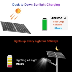 Đèn Đường Năng Lượng Mặt Trời ZALAA ZL-I190102 Tích Hợp Sạc MPPT Kép