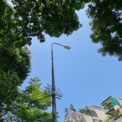 Cột Đèn Cao Áp Liền Cần Đơn cao từ 6m đến 11m chiếu sáng đường phố