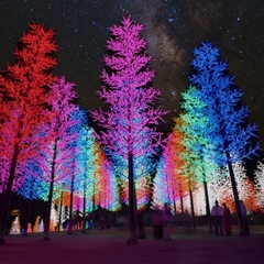 Cột Đèn Trang Trí Cây Thông ZALAA chiếu sáng Cảnh Quan Sân Vườn Công Viên