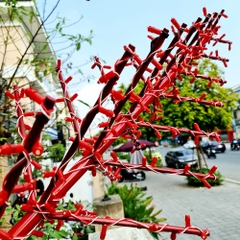 Cột Đèn Cây Thông Trang Trí Ngoài Trời Mã SP ZSV-Christmas tree