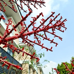 Cột Đèn Cây Thông Trang Trí Ngoài Trời Mã SP ZSV-Christmas tree