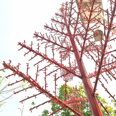 Cột Đèn Cây Thông Trang Trí Ngoài Trời Mã SP ZSV-Christmas tree