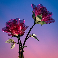 Cột Đèn ZALAA Kiểu Bông Hoa Hồng Trang Trí Nghệ Thuật Chiếu Sáng Cho Dự Án Công Viên Ánh Sáng