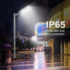 Đèn Đường Năng Lượng Mặt Trời Tích Hợp ZALAA ZL-TK Chuẩn IP65 - Hiệu Suất 180lm/W