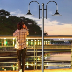 Đầu Cột Đèn Chiếu Sáng Công Viên, Khu Đô Thị Mới ZAT-1131 30-65W H3-6M ZALAA
