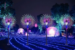 Đầu đèn LED Pháo Hoa hiệu ứng Xoay Tròn đổi màu RGB 350W 30 đầu ống H1500 D2100 Zalaa ZCSV-PH-12