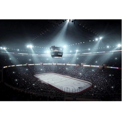 Đèn LED Chiếu Sáng Nhà Thi Đấu Arena (Vũ Đài hay Đấu Trường, Nhà hát)