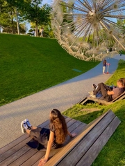 Đèn LED Bông hoa Bồ Công Anh Dandelion đường kính 1.5m, nhiều màu RGB - Giải pháp chiếu sáng cảnh quan kiểu mới