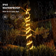 Đèn LED Dây Năng Lượng Mặt Trời Trang Trí Sân Vườn ZG-CPD1002 ZALAA Garden Lights