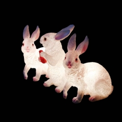 Đèn LED Fiberglass Sợi Thủy Tinh Nhựa họa tiết tạo hình 3D Thú Vật phát sáng Zalaa dành cho Dự án Vườn Ánh Sáng