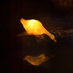 Đèn LED Fiberglass Sợi Thủy Tinh Nhựa tạo hình 3D Đàn Vịt Duck phát sáng Zalaa dành cho Dự án Vườn Ánh Sáng