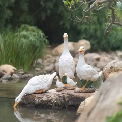 Đèn LED Fiberglass Sợi Thủy Tinh Nhựa tạo hình 3D Đàn Vịt Duck phát sáng Zalaa dành cho Dự án Vườn Ánh Sáng