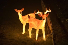 Đèn LED Fiberglass Sợi Thủy Tinh Nhựa tạo hình 3D Con Hươu Deer phát sáng Zalaa dành cho Dự án Vườn Ánh Sáng