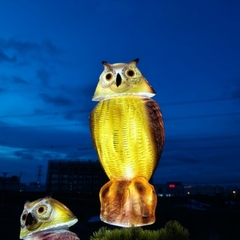 Đèn LED Hình Chim Cú Owl Catbird Năng Động ZALAA Cho Dự Án Chiếu Sáng Cảnh Quan Sân Vườn