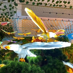 Đèn LED ZALAA Mô Phỏng Chim Đại Bàng Eagle Có Chuyển Động và Âm Thanh cho Cảnh Quan Ngoại Thất