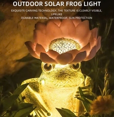 Đèn LED Mô Phỏng Con Ếch Frog Cầm Hoa Sen Phát sáng 3D Frog Fiberglass Light làm từ sợi thủy tinh nhựa Zalaa dành cho Dự án Vườn Ánh Sáng