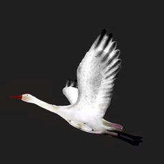 Đèn LED Tạo Hình Điêu Khắc 3D Chim Thiên Nga phát sáng Zalaa dành cho Dự án Vườn Ánh Sáng