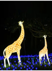 Đèn LED Tạo Hình Điêu Khắc 3D Chim Thiên Nga phát sáng Zalaa dành cho Dự án Vườn Ánh Sáng