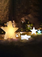 Đèn LED Trang trí Công viên hình Ông Sao phát sáng Zalaa cho các Dự án chiếu sáng mới