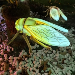 Đèn LED ZALAA Mô Hình Ve Sầu Simulation Golden Cicada Light cho Vườn Ánh Sáng / Light Garden