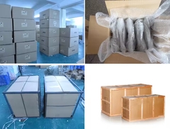 Đèn LED ZALAA Mô Phỏng Con Bọ Rùa - Bảy Sao Năng Động Cho Dự Án Cảnh Quan Sân Vườn