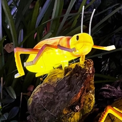 Đèn LED ZALAA Mô Phỏng Con Dế Mèn Crickets Năng Động Cho Vườn Ánh Sáng / Light Garden