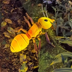 Đèn LED ZALAA Mô Phỏng Con Kiến Ants Năng Động Cho Vườn Ánh Sáng / Light Garden