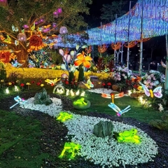 Đèn LED ZALAA Mô Phỏng Hình Mạng Nhện Cho Dự Án Chiếu Sáng Cảnh Quan Sân Vườn