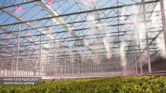 Nguồn Meanwell HVGC-1000 | LED Driver sử dụng cho Đèn LED ngoài trời từ 1000W