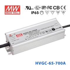 Nguồn Meanwell HVGC-65 | LED Driver sử dụng cho Đèn LED ngoài trời từ 65W