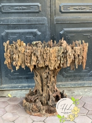 Gỗ Lũa ( Mẫu 01)