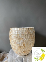 Chậu Khảm Trai ( Mẫu 04)
