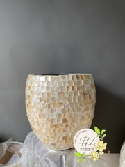 Chậu Khảm Trai ( Mẫu 04)