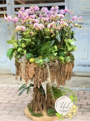 Gỗ Lũa ( Mẫu 08)