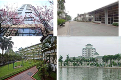 LÀNG HOA THỤY KHUÊ