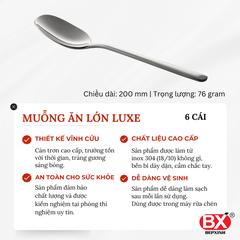 MUỖNG ĂN LỚN LUXE (Set 6 cái)