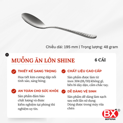 MUỖNG ĂN LỚN SHINE (Set 6 cái)