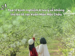 Những kinh nghiệm & lưu ý khi cắm trại Vườn Mận Mộc Châu
