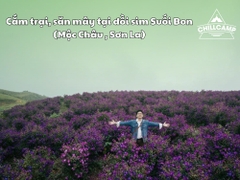 Cắm trại, săn mây tại đồi sim Suối Bon (Mộc Châu , Sơn La) - Điểm đến mộng mơ không thể bỏ lỡ