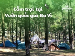 Cắm Trại Tại Vườn Quốc Gia Ba Vì: Hướng Dẫn Chi Tiết