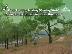Kinh nghiệm & lưu ý khi cắm trại tại Đỉnh Phượng Hoàng (Quảng Ninh)