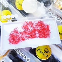 Color Lash - Promade Fans - 1000 Fans