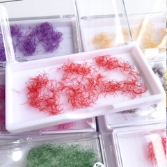 Color Lash - Promade Fans - 1000 Fans