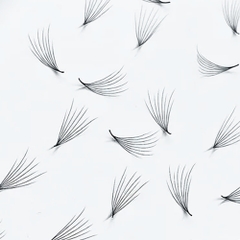 Camellia Lash- Promade Fans - 1000 Fans