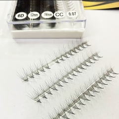 Camellia Lash- Promade Fans - 1000 Fans